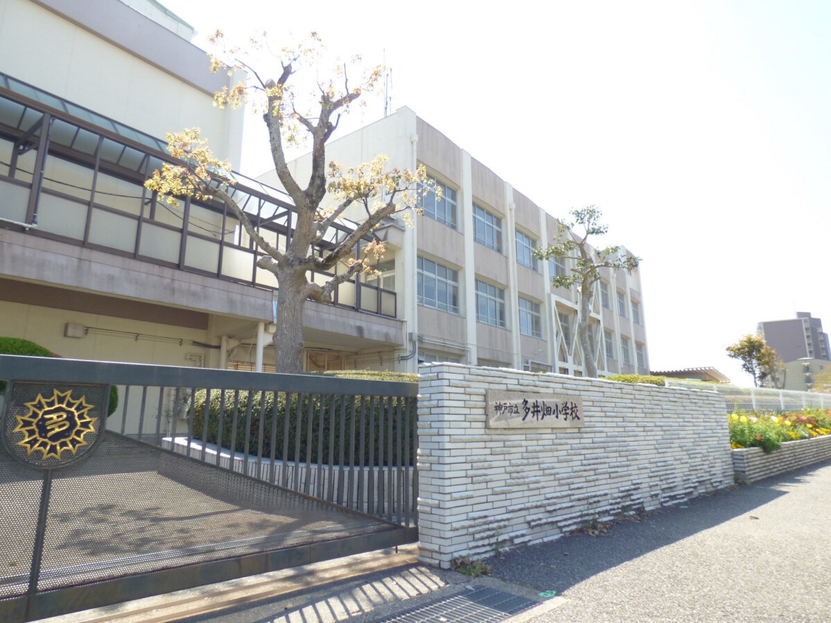 多井畑小学校(小学校)まで1664m ファミーユコート