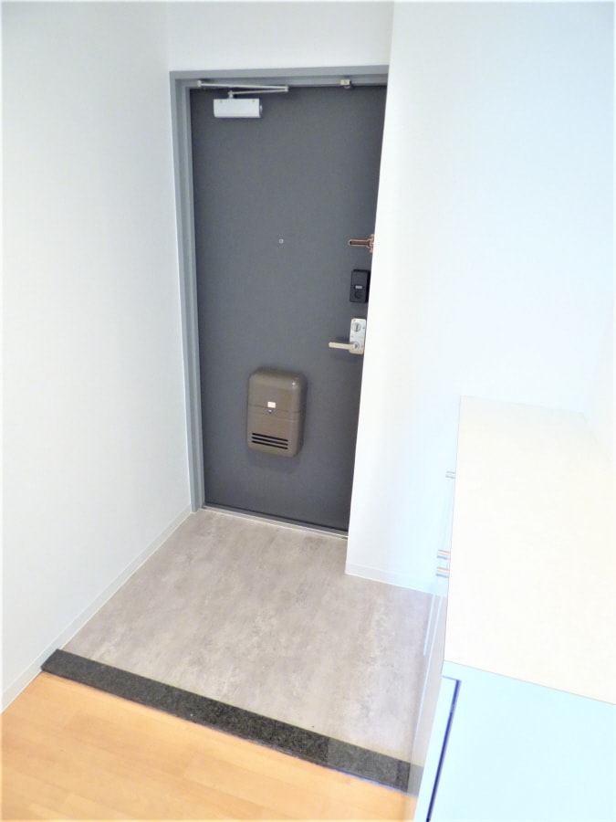 キレイな玄関 グリーンハイツ妙法寺Ｂ棟