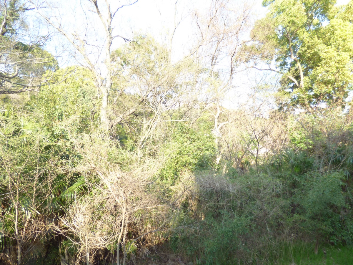 目の前は自然 大幸ハイツ