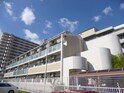 全室南東向きで日当たり良好