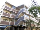 タイル張りのキレイなマンション グリーンコート若草