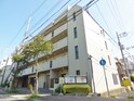 タイル張りのキレイなマンション