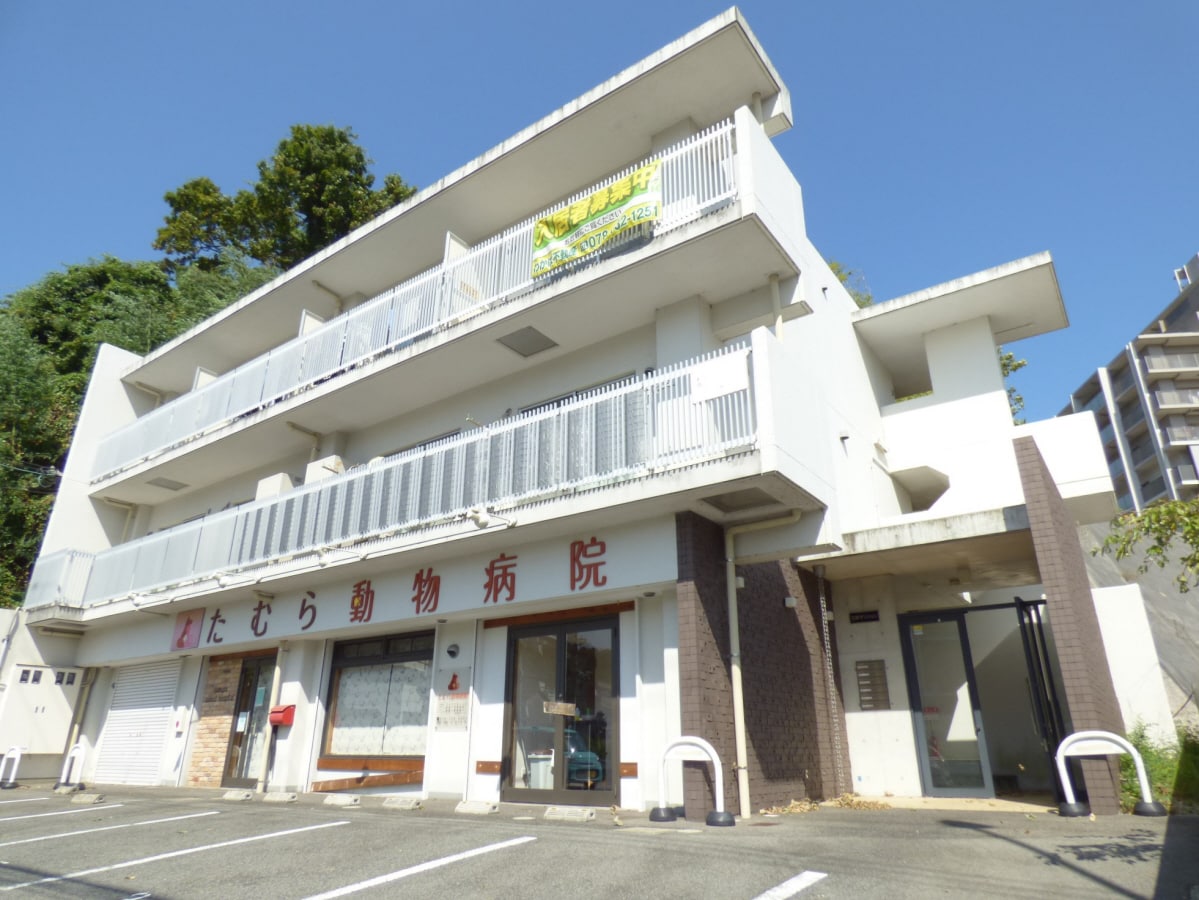 妙法寺駅徒歩５分のマンション 石井マンション