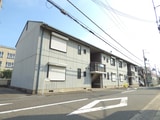 コニー行幸